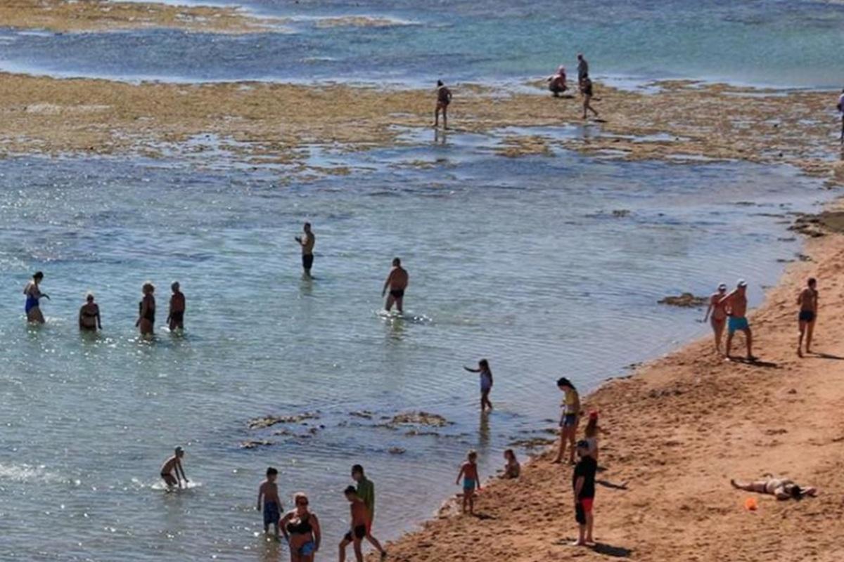 Туристы в Хургаде потеряли Красное море: вода ушла, оставив камни и болото