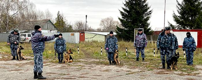 В Рязанской области прошли учебно-методические сборы кинологов