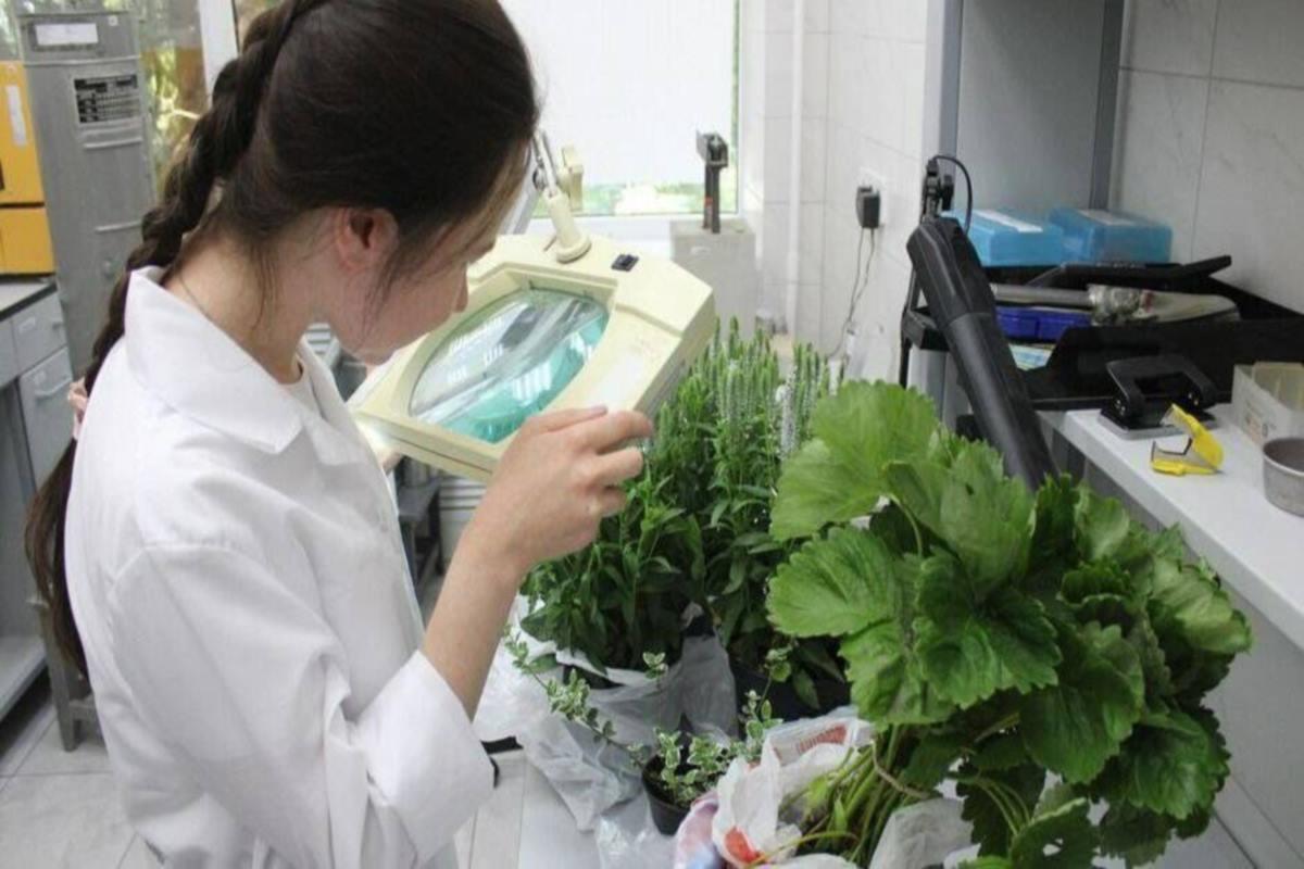 С начала года в Татарстане выполнили свыше 700 анализов ввозимой в регион продукции