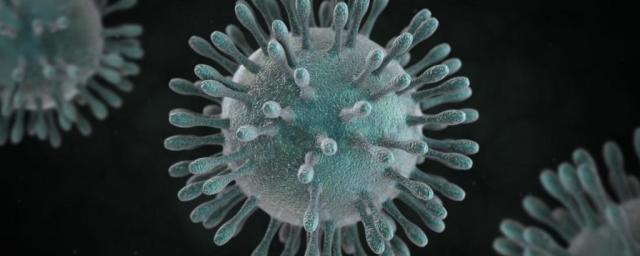 Американские ученые установили картину поражения легких при коронавирусе