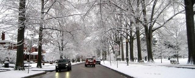 В Петербурге в последние дни ноября ожидается похолодание