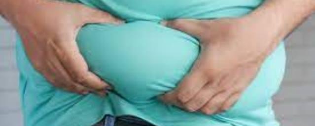 В Новосибирской области количество людей с ожирением увеличилось в 1,5 раза