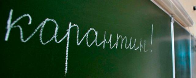 Во всех школах Балаковского района введен карантин