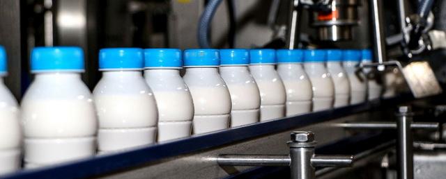 Кубанская агрофирма увеличила объем молока после внедрения бережливых технологий