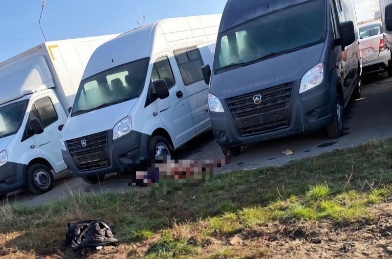 В Астрахани нашли покусанный собаками труп 44-летней женщины