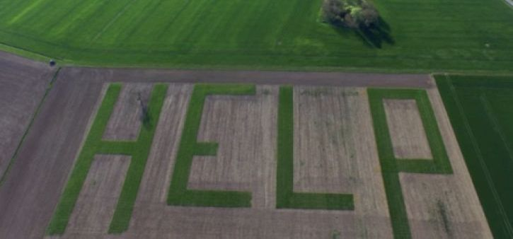 Французский фермер вырастил огромное слово «HELP» на поле