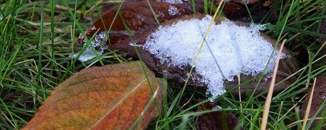Синоптик Колесов предупредил жителей Ленобласти о первом снеге в конце сентября