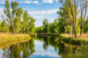 Волгоградские природные парки бьют рекорды посещаемости