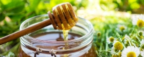 Эксперты назвали 9 самых полезных для организма сортов мёда
