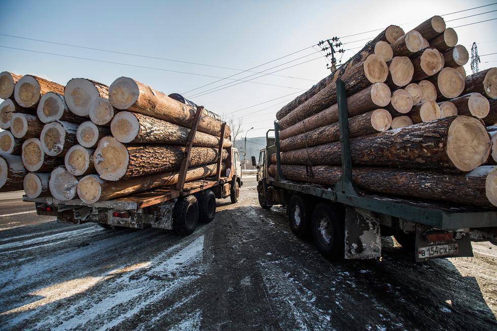 В Приангарье пресекли попытку контрабанды леса на 50 млн рублей