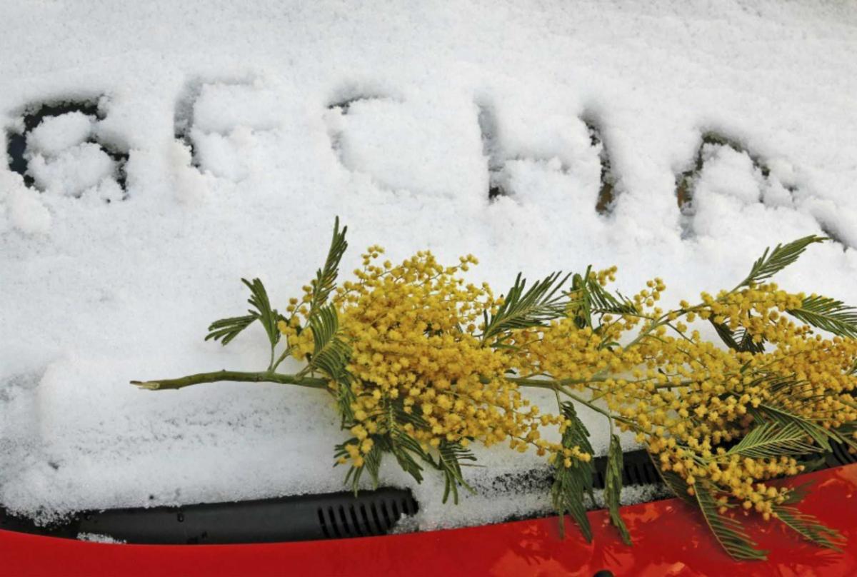 Праздник 8 марта в Воронеже будет ознаменован зимними холодами