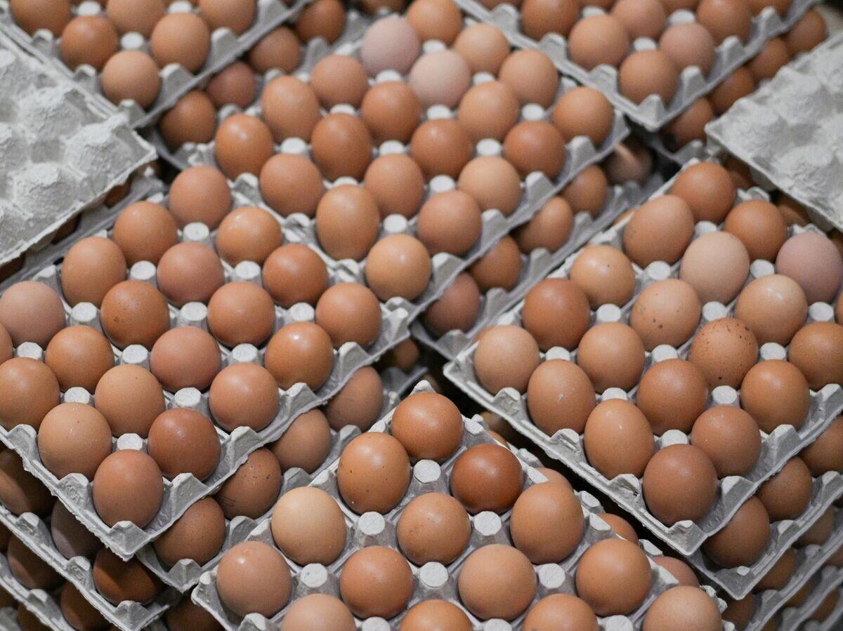 США впервые за 33 года купили куриные яйца в России