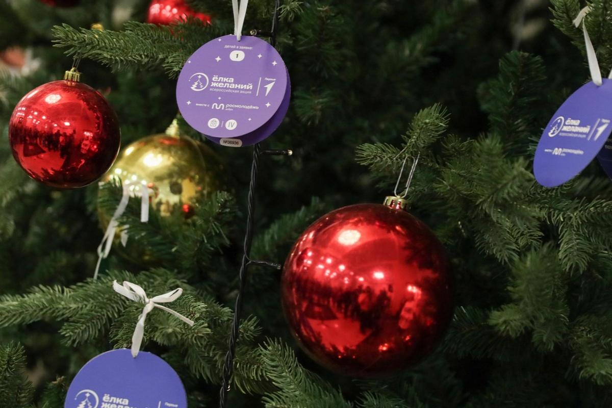 В Мордовии акция «Ёлка желаний» продолжает творить чудеса