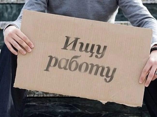 В Мурманской области уровень безработицы составил 7,4%