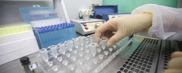 Врач сравнила российские и зарубежные тесты на коронавирус