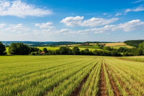В Туве расширяют использование сельхозземель