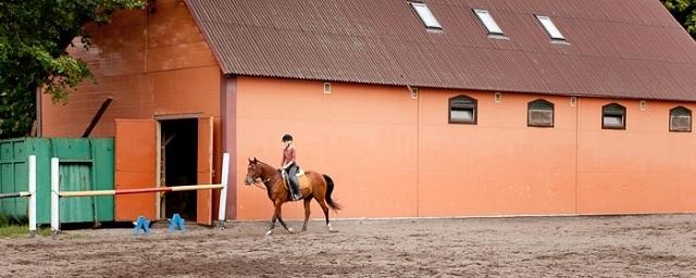 Голубев открыл в Ростовской области первый казачий конный центр