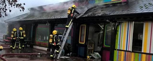 В Лондоне при пожаре в зоопарке пострадали восемь человек