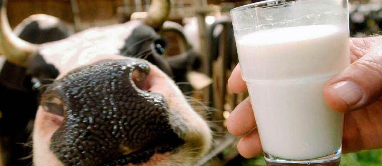 Производство молока в России увеличилось на 2,7%