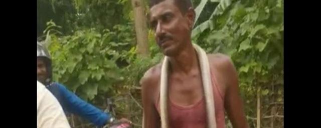 Man in India bites cobra that attacked him and hangs its corpse around his neck