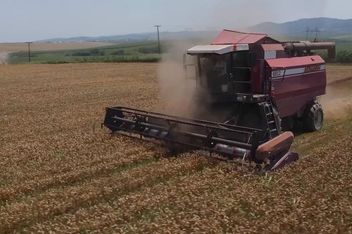 Махмуд-Али Калиматов: Экспорт продукции АПК Ингушетии в 2025 году превысил плановые показатели более чем в два раза