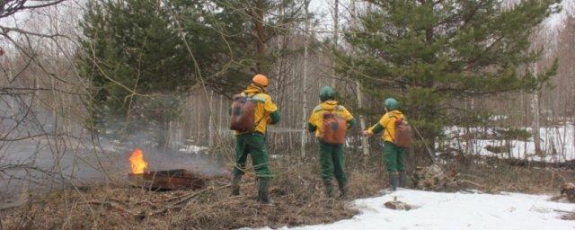 В Новгородской области произошел первый лесной пожар