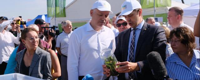 Губернатор Новосибирской области Травников рассказал об успешном развитии регионального агрокомплекса