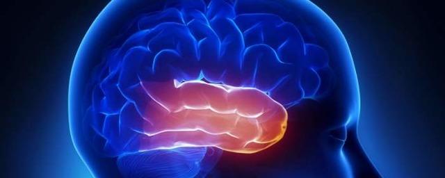 Нейробиологи выяснили, как забыть плохое воспоминание