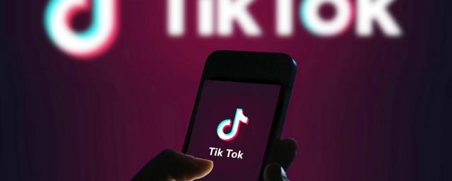В России появится аналог TikTok, разработанный Минпросвещения