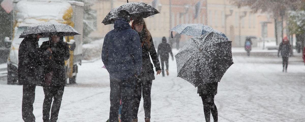 В Новосибирске до конца рабочей недели ожидаются мокрый снег и метели