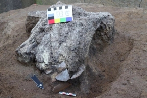 В Зарайске археологи нашли череп мамонта с «кладом» внутри