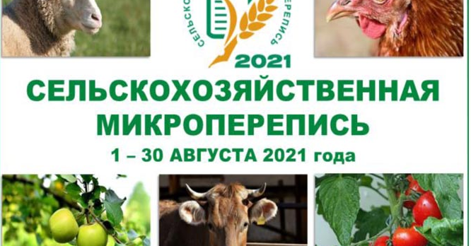 Жителей Красногорска приглашают принять участие в сельхозмикропереписи-2021