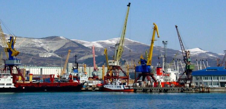 В порту Новороссийска задержала 19 тонн кормов из Ирландии