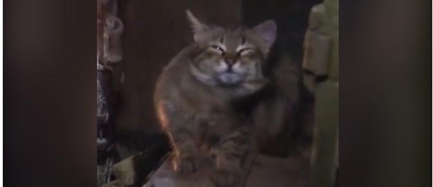 Минобороны показало, как живут мобилизованные в полевом лагере в Запорожской области