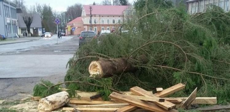 В Советске неизвестные сломали главную городскую ель