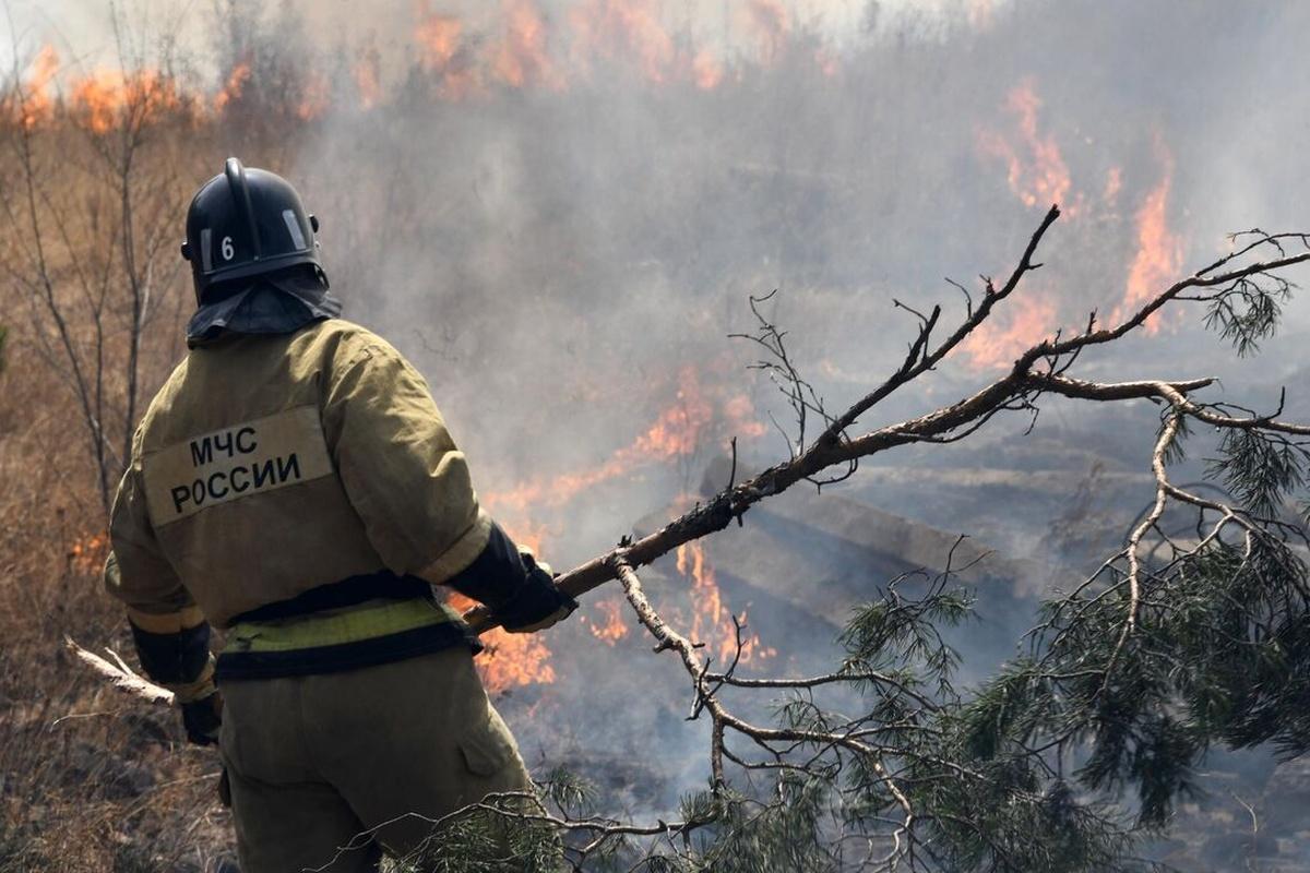 В МЧС Калужской области заявили о высоком риске лесных пожаров 17-21 сентября