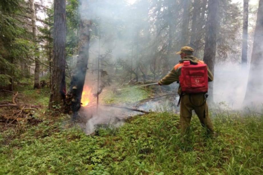 Для тушения лесных пожаров в ХМАО направили десантников из Новосибирска