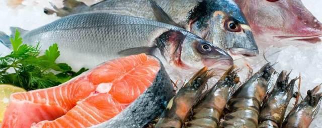 Правила выбора рыбы и морепродуктов в магазине