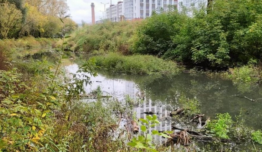 В Нижнем Новгороде начали расчищать русло реки Борзовка