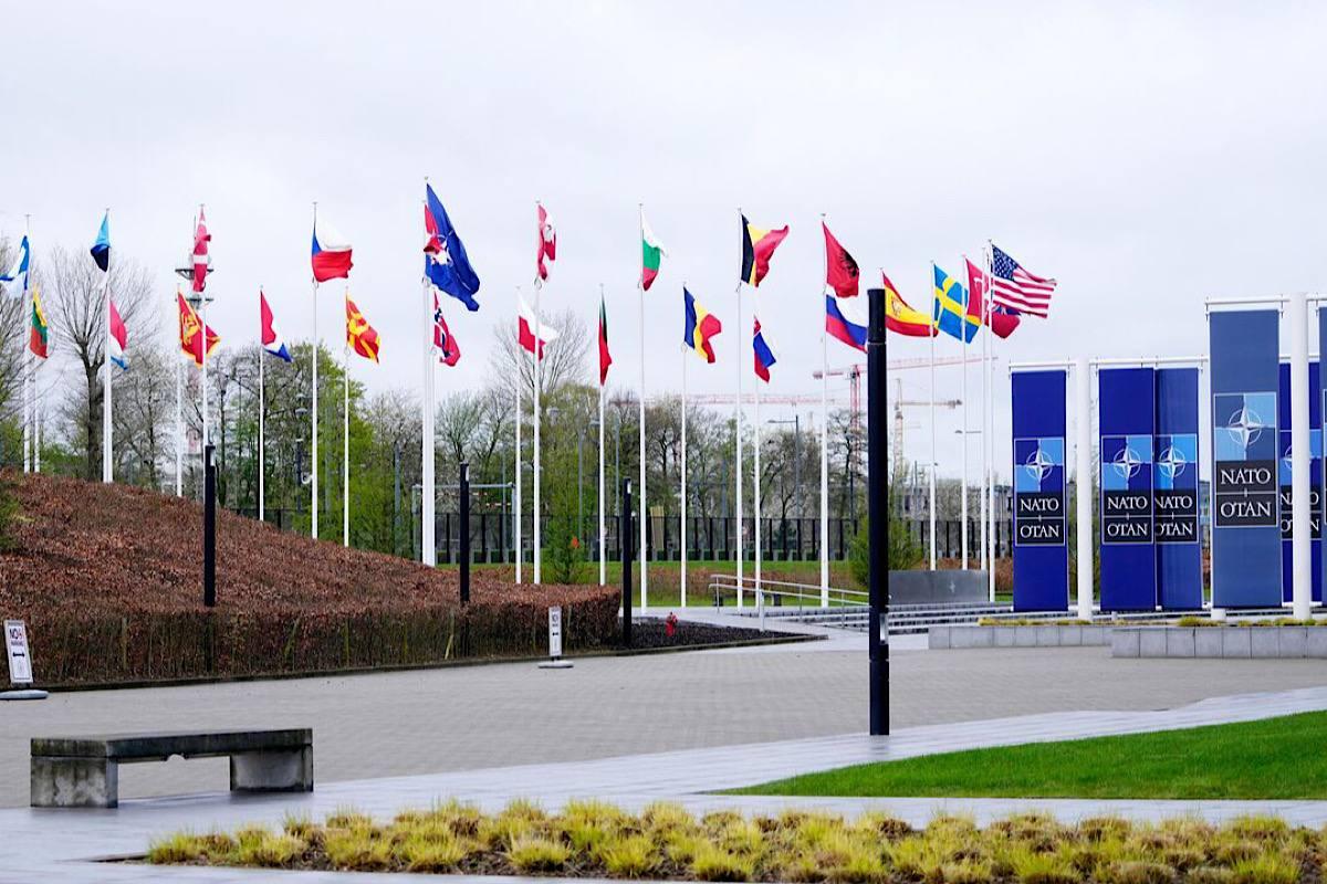 Politico: Польша и Финляндия рассматривают восстановление болот как оборону от РФ