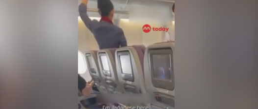 Гражданка Японии на борту самолета пыталась ударить стюардессу за незнание ее родного языка