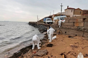 Стали известны первые результаты проб воды на побережье Керчи после затопления танкеров