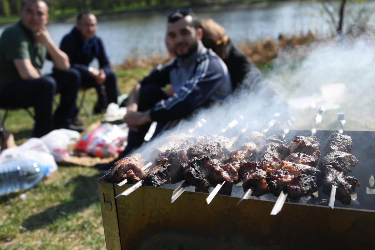 Россия обогнала США и Европу по доступности простого пикника