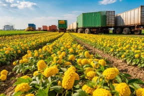 Ставрополье наращивает экспорт в Азию и на Ближний Восток, впервые поставив рыбную продукцию в Киргизию