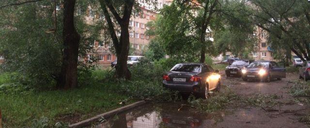 В Барнауле коммунальщики устраняют последствия масштабного урагана