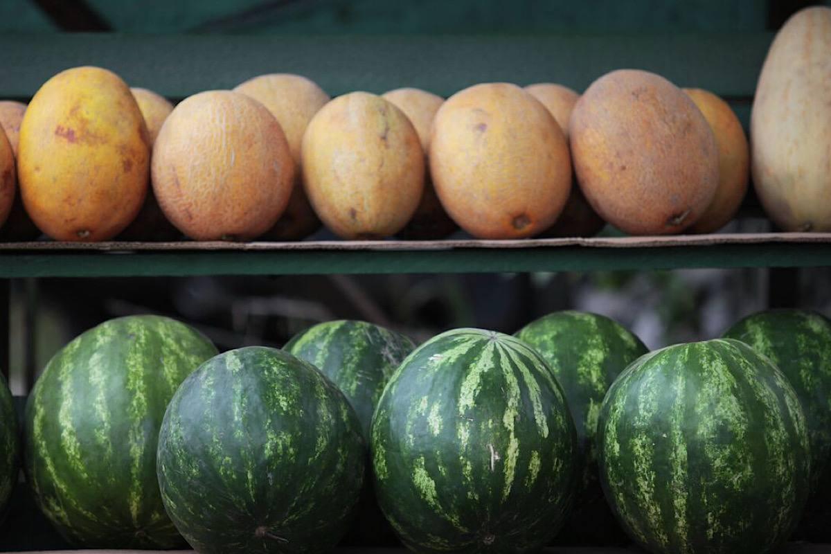 Астрахань готовится к историческому сбору овощей и бахчевых