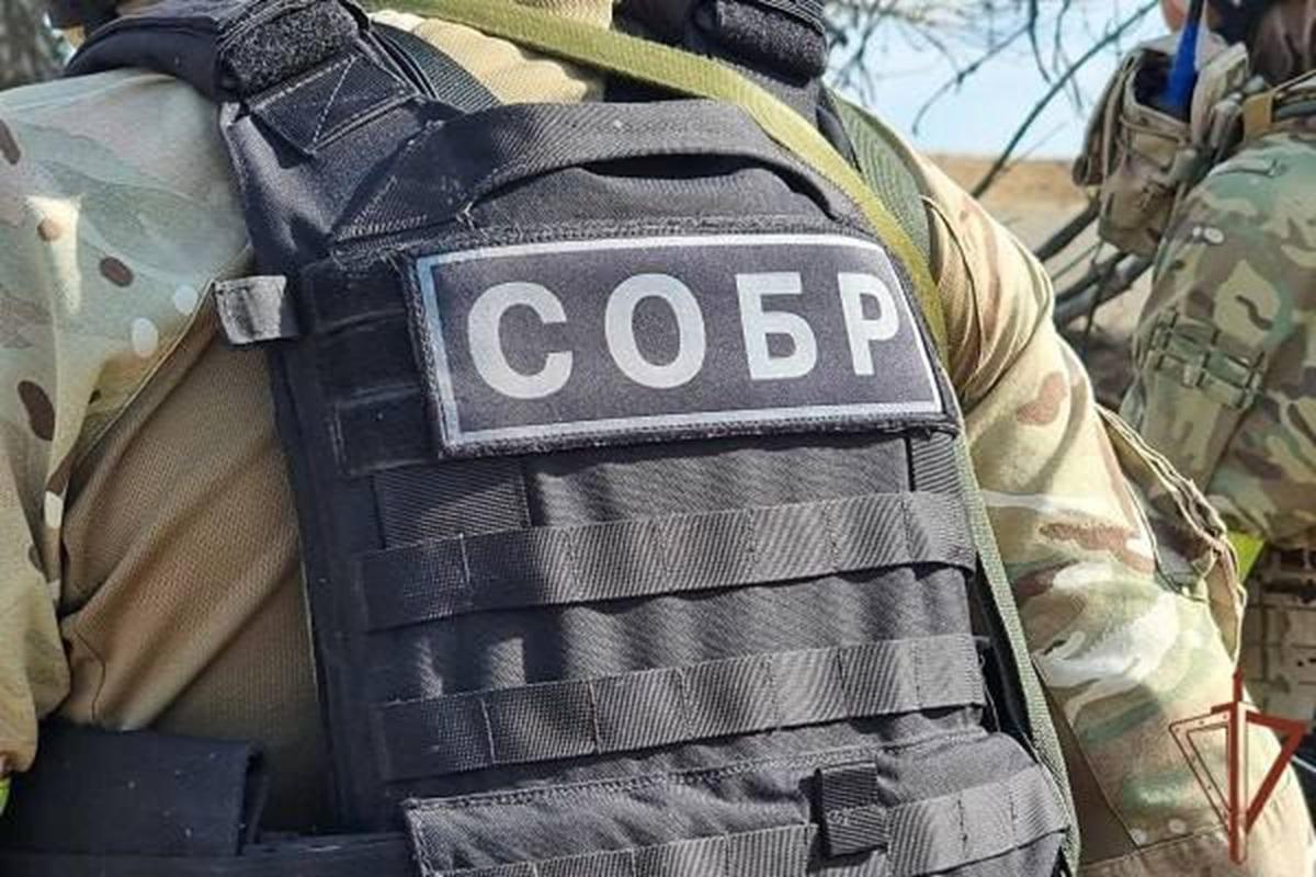 В Волгодонске задержали студентку колледжа с самодельной бомбой у здания администрации