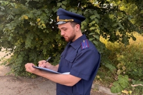 В Чайковском возбудили уголовное дело после гибели девушки от падения дерева