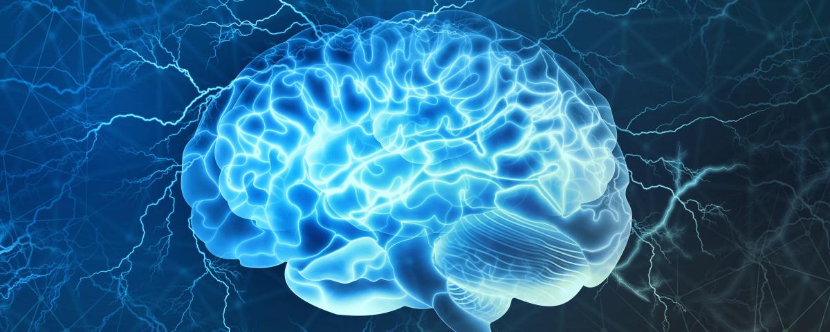 Эксперт по ИИ Душкин развеял миф о возможностях человеческого мозга