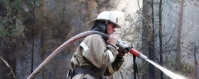 В Парфеньевском районе локализовали ещё один пожар